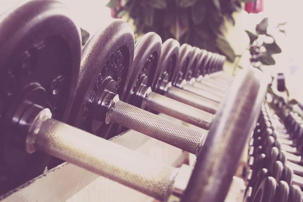 fitness equipment movers